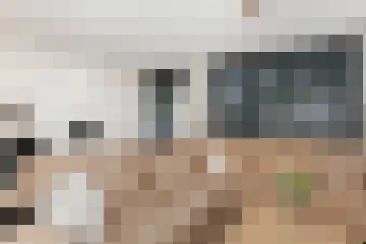 Joke Smit-erf 14 Dordrecht thumbnail 5