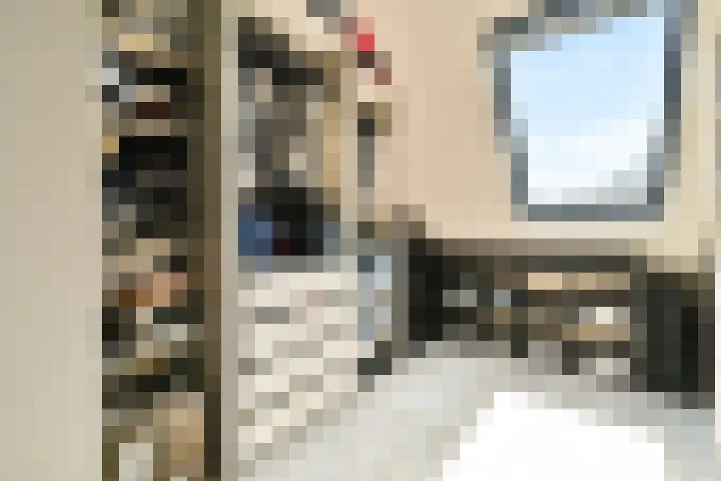 Joke Smit-erf 154 Dordrecht thumbnail 20