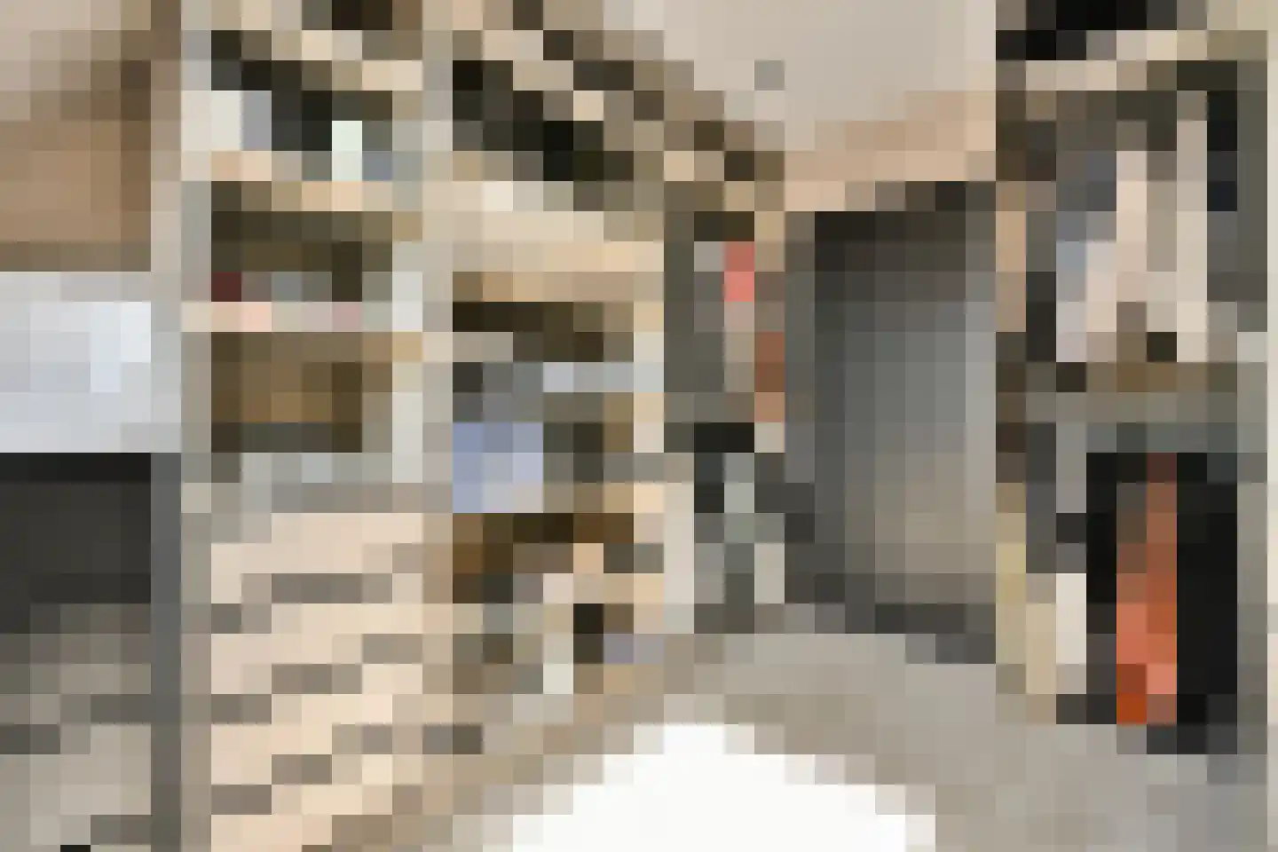 Joke Smit-erf 154 Dordrecht thumbnail 21