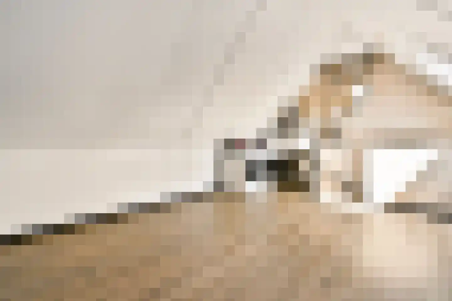 Joke Smit-erf 154 Dordrecht thumbnail 23
