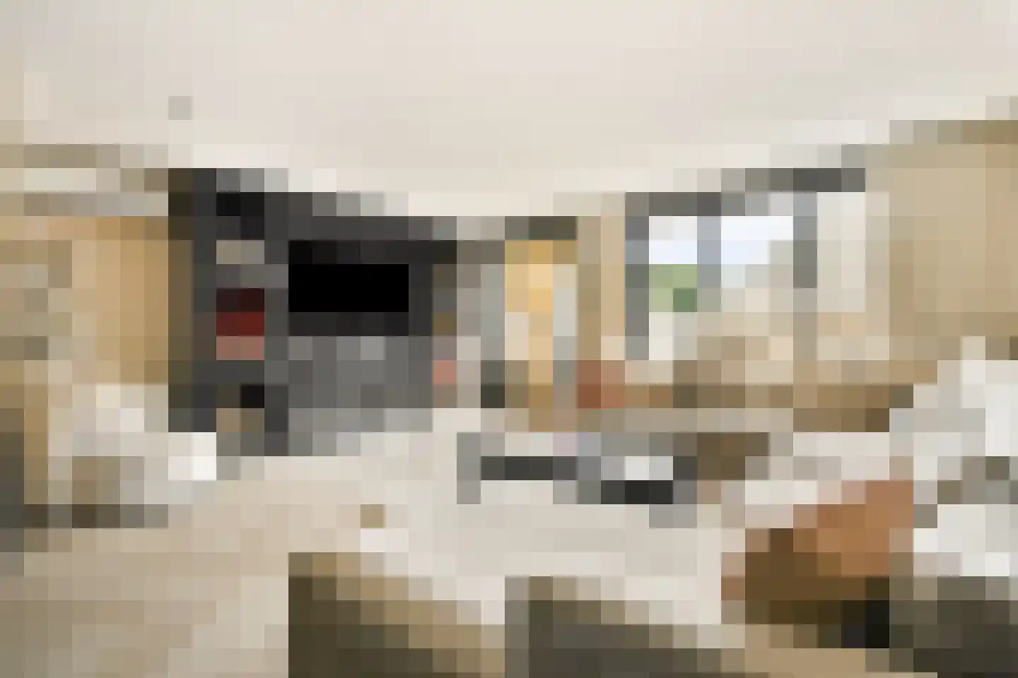 Joke Smit-erf 154 Dordrecht thumbnail 4