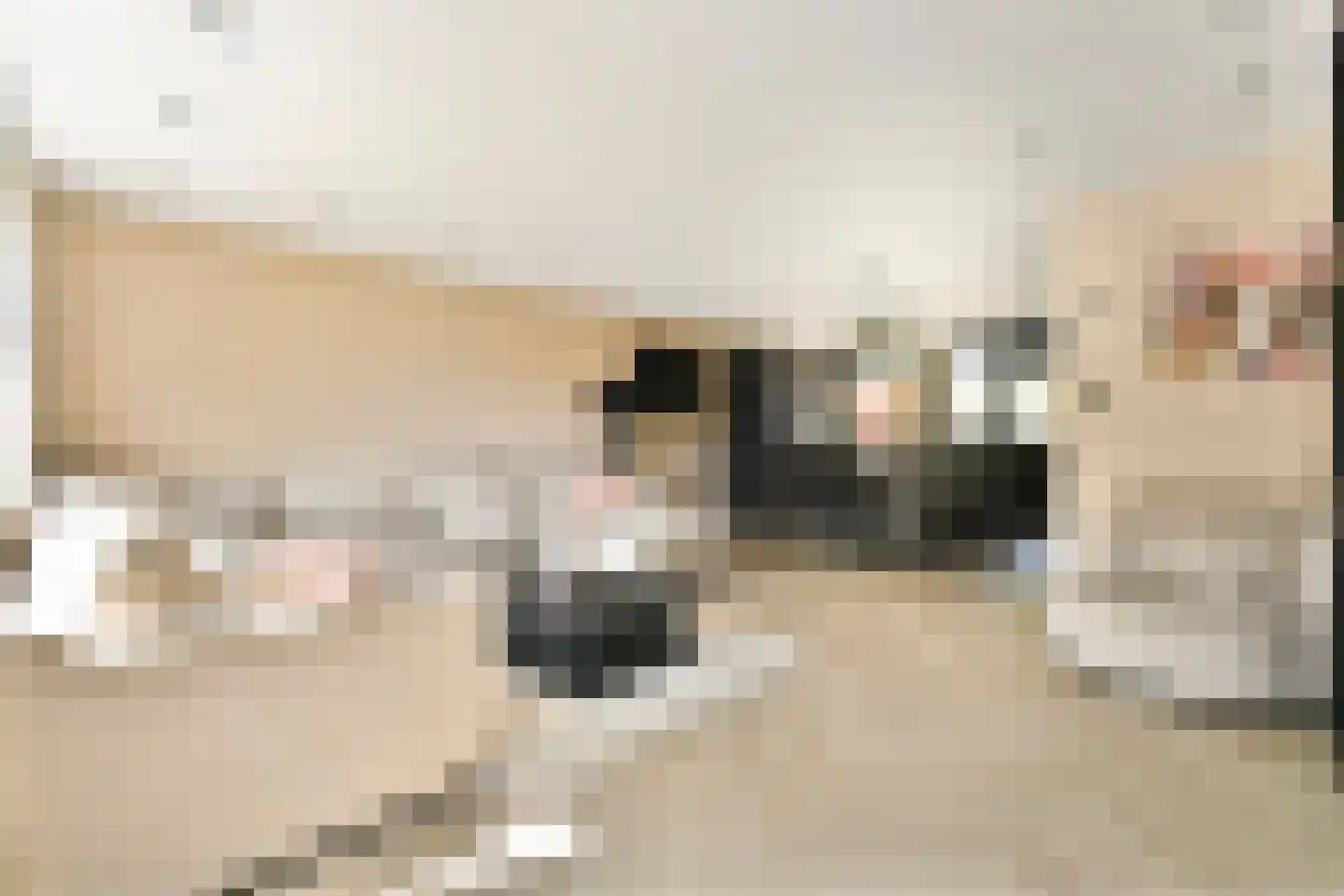 Joke Smit-erf 154 Dordrecht thumbnail 5