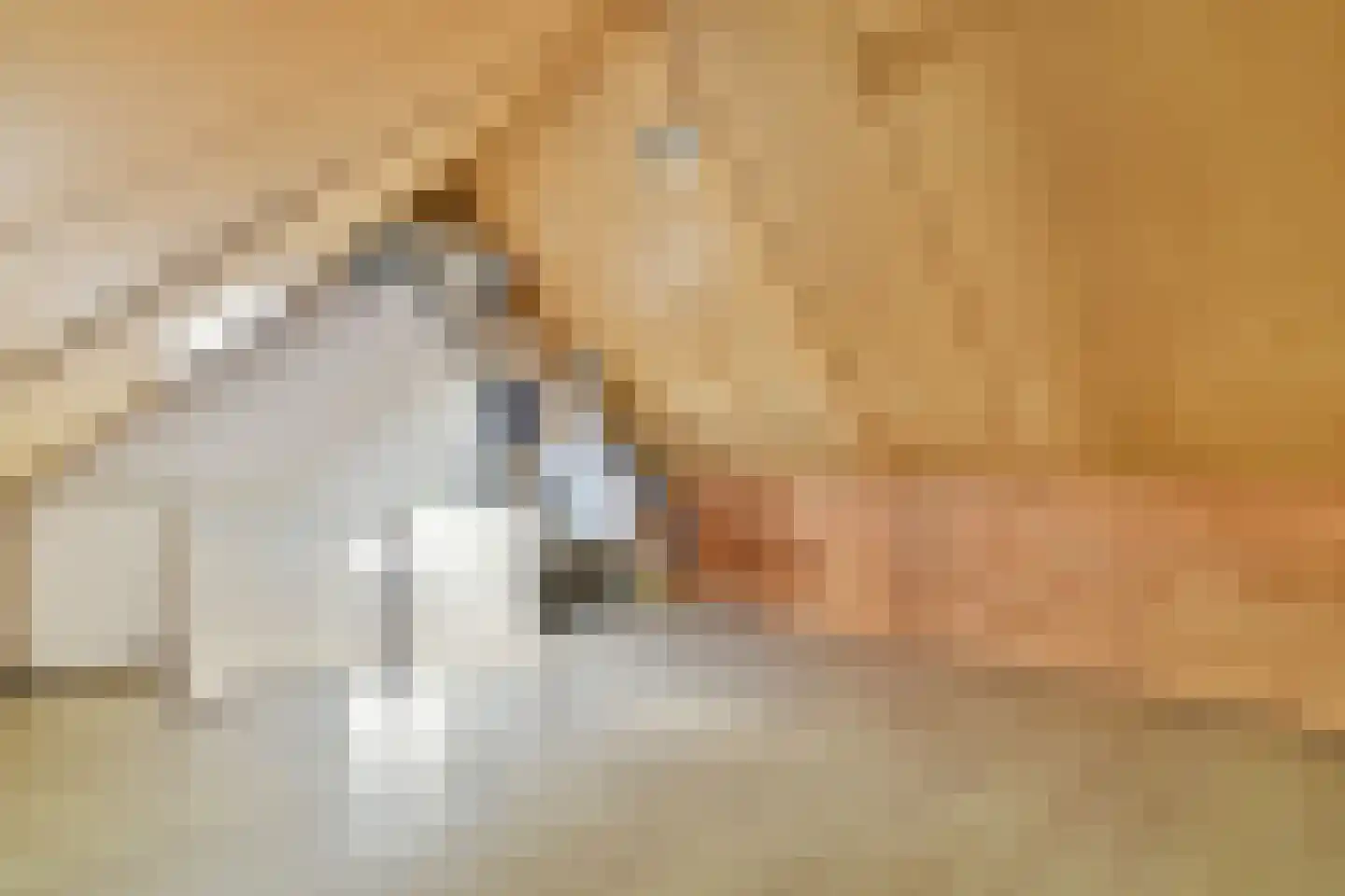Joke Smit-erf 157 Dordrecht thumbnail 17