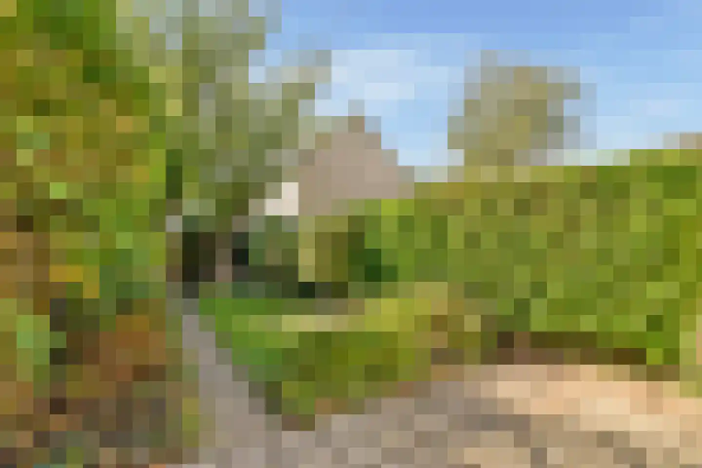 Joke Smit-erf 157 Dordrecht thumbnail 18