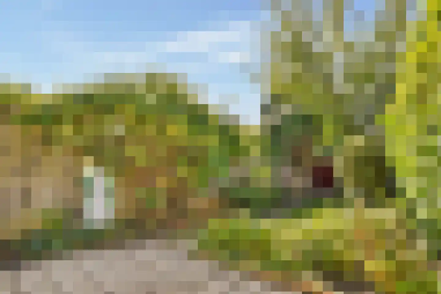 Joke Smit-erf 157 Dordrecht thumbnail 19