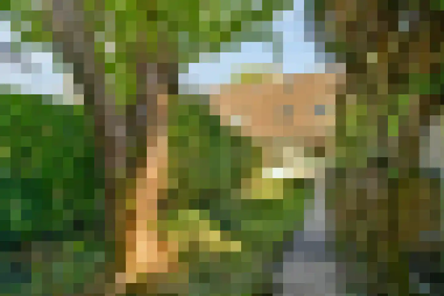 Joke Smit-erf 157 Dordrecht thumbnail 21