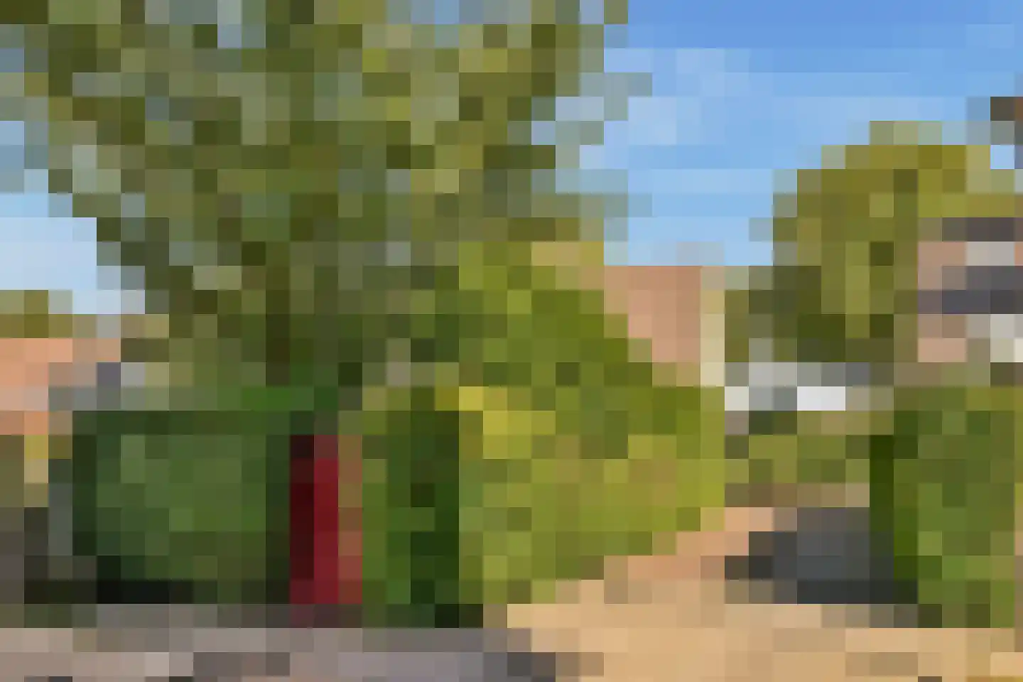 Joke Smit-erf 157 Dordrecht thumbnail 23