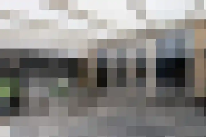 Joke Smit-erf 160 Dordrecht thumbnail 22