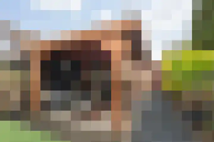 Joke Smit-erf 67 Dordrecht thumbnail 16