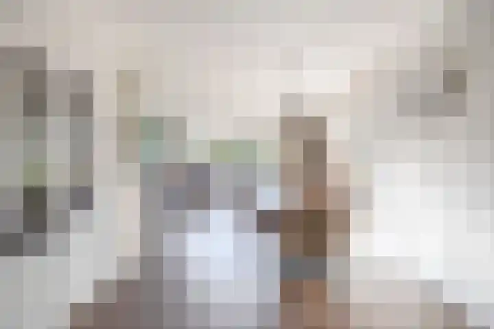 Joke Smithoeve 40 Waddinxveen thumbnail 14