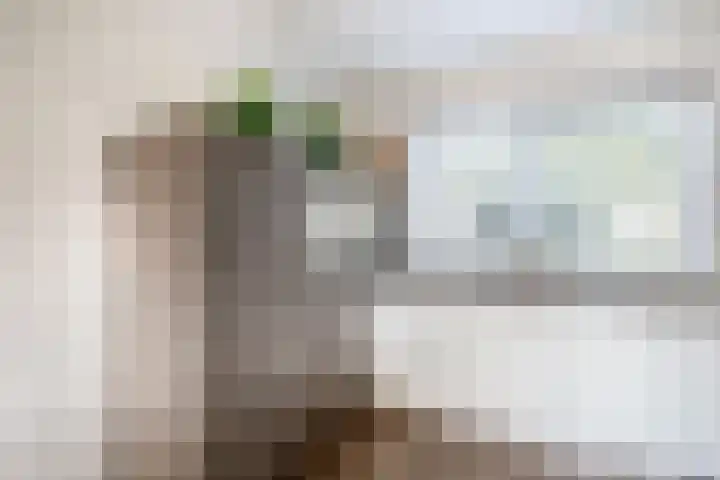 Joke Smithoeve 40 Waddinxveen thumbnail 16