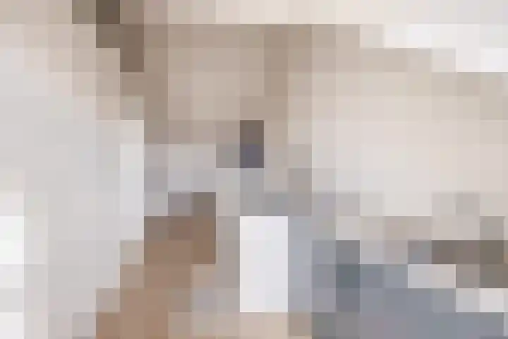 Joke Smithoeve 40 Waddinxveen thumbnail 36