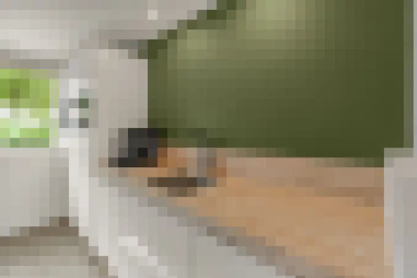 Joke Smithoeve 48 Waddinxveen thumbnail 12