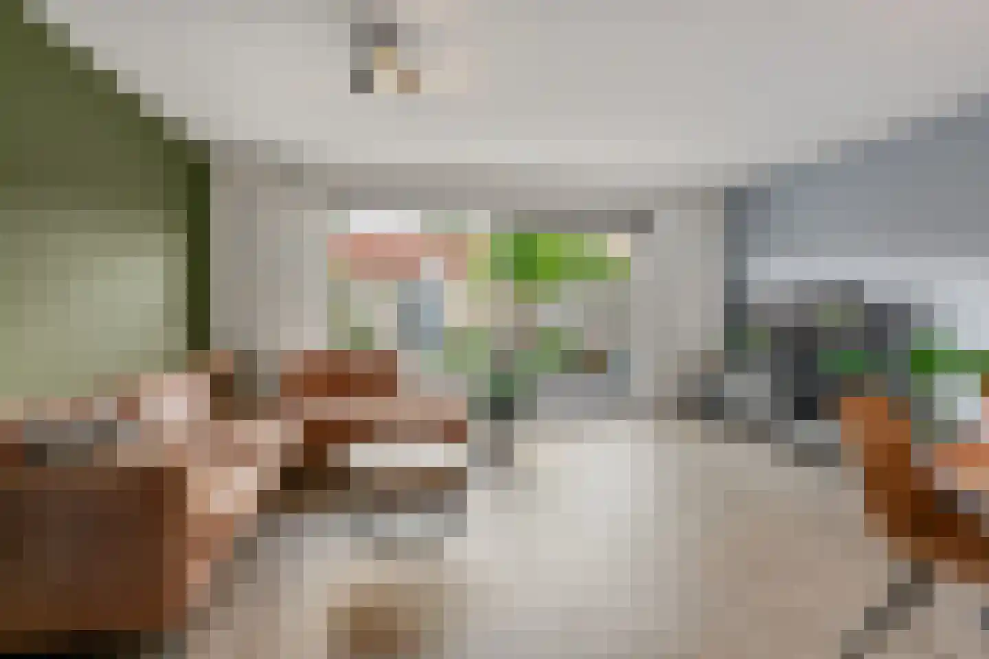 Joke Smithoeve 48 Waddinxveen thumbnail 6