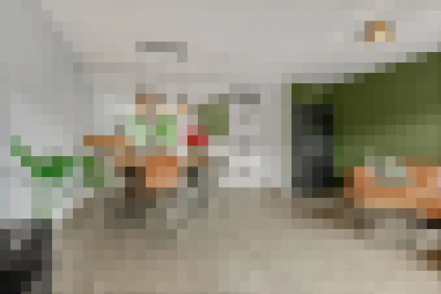 Joke Smithoeve 48 Waddinxveen thumbnail 8