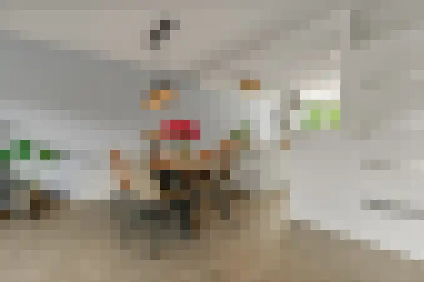 Joke Smithoeve 48 Waddinxveen thumbnail 9