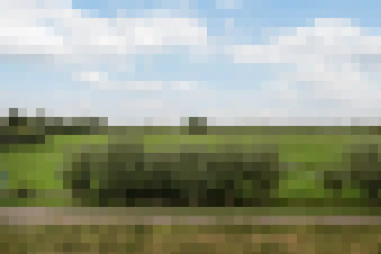 Joke Smitkade 133 Vlaardingen thumbnail 21