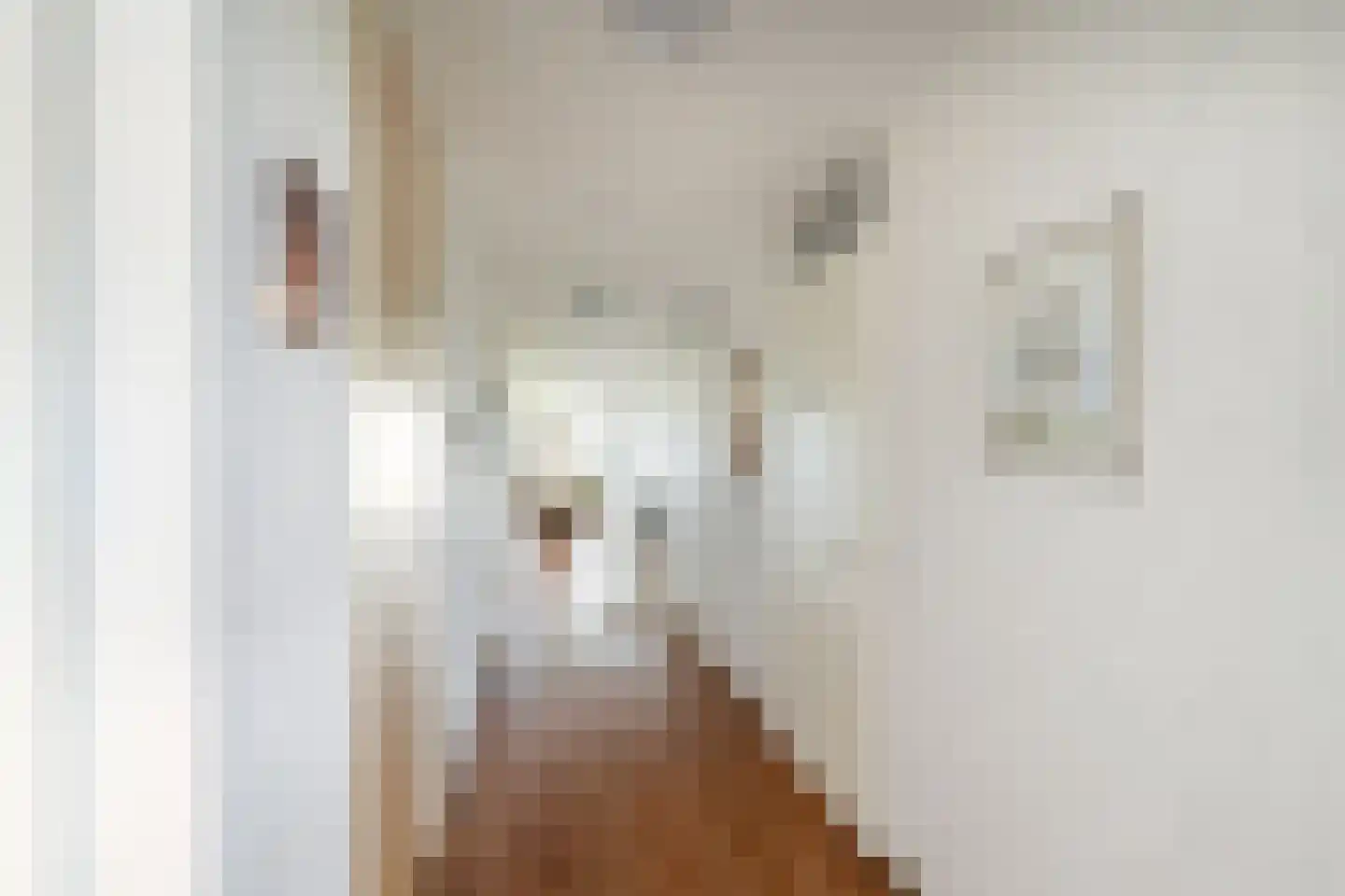 Joke Smitkade 133 Vlaardingen thumbnail 7