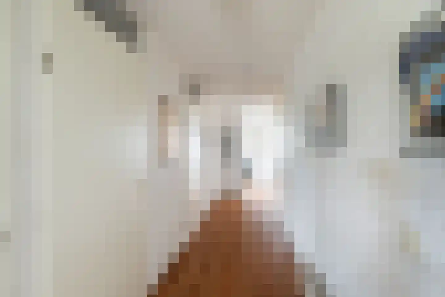 Joke Smitkade 133 Vlaardingen thumbnail 9