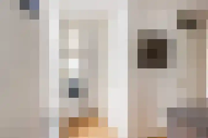 Joke Smitkade 150 Vlaardingen thumbnail 29