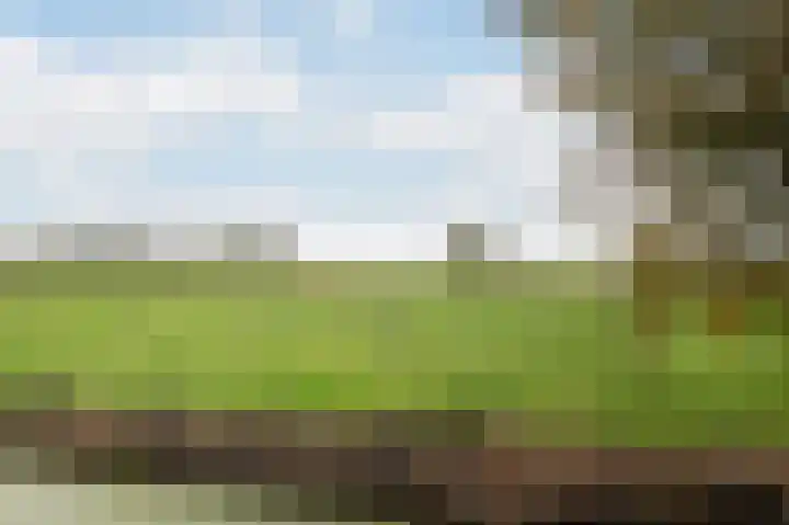 Joke Smitkade 150 Vlaardingen thumbnail 36