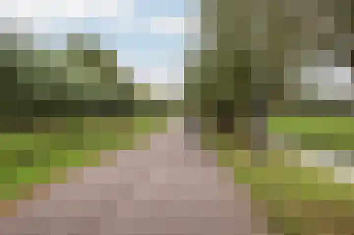 Joke Smitkade 150 Vlaardingen thumbnail 37