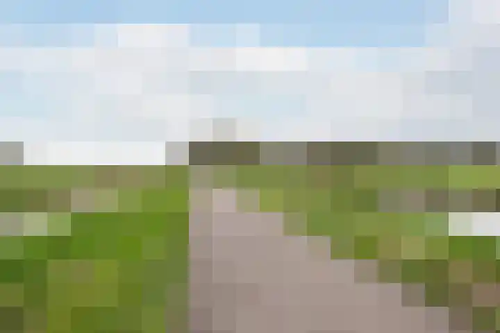 Joke Smitkade 150 Vlaardingen thumbnail 38