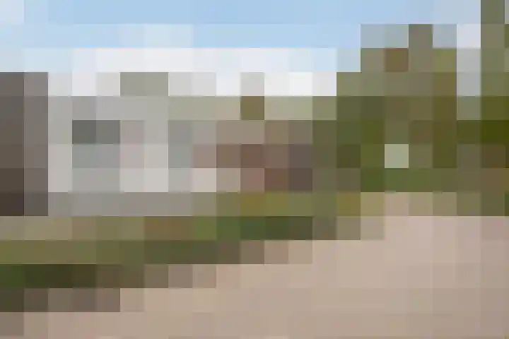 Joke Smitkade 150 Vlaardingen thumbnail 5