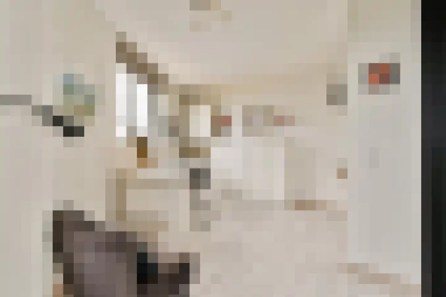 Joke Smitkade 57 Vlaardingen thumbnail 18
