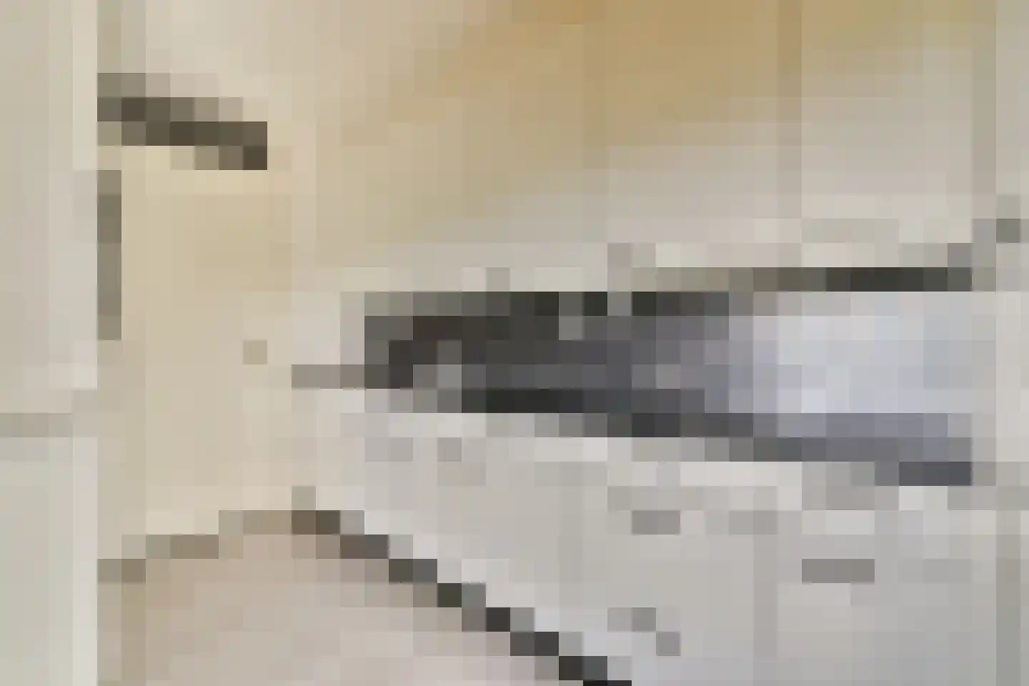 Joke Smitkade 57 Vlaardingen thumbnail 8