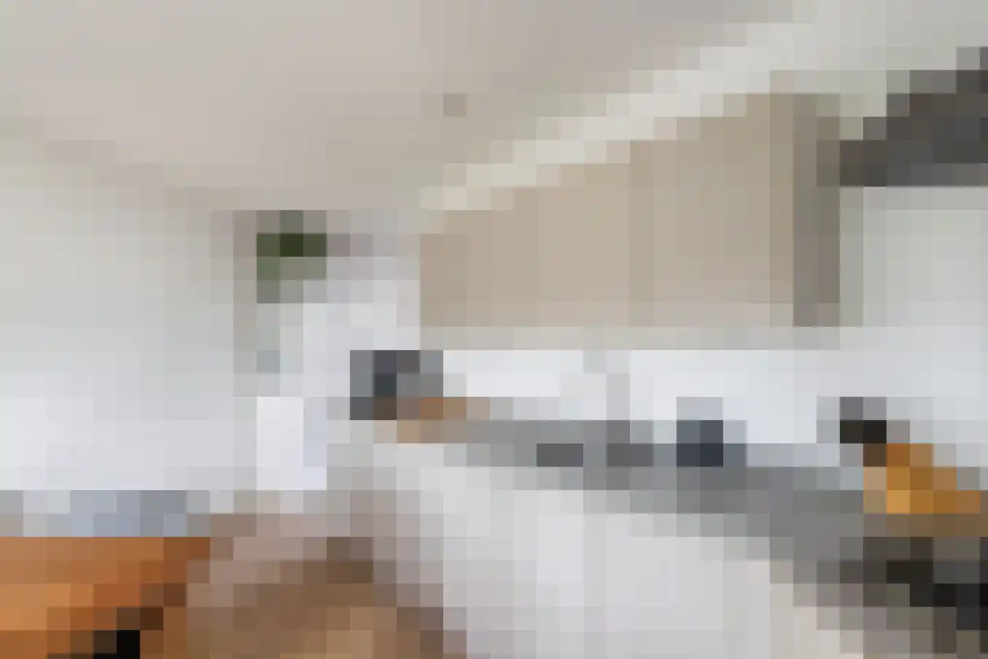 Joke Smitkade 6 Vlaardingen thumbnail 16