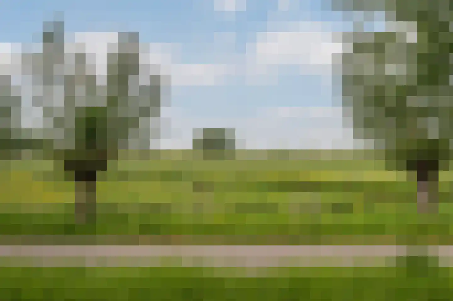 Joke Smitkade 84 Vlaardingen thumbnail 36