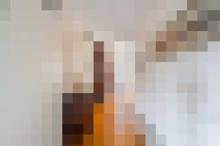 Joke Smitkade 89 Vlaardingen thumbnail 11