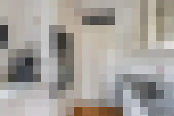 Joke Smitkade 89 Vlaardingen thumbnail 14