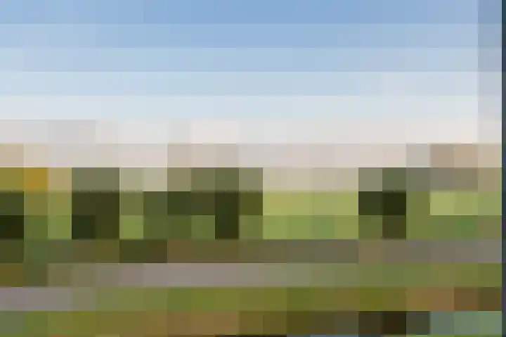 Joke Smitkade 89 Vlaardingen thumbnail 17