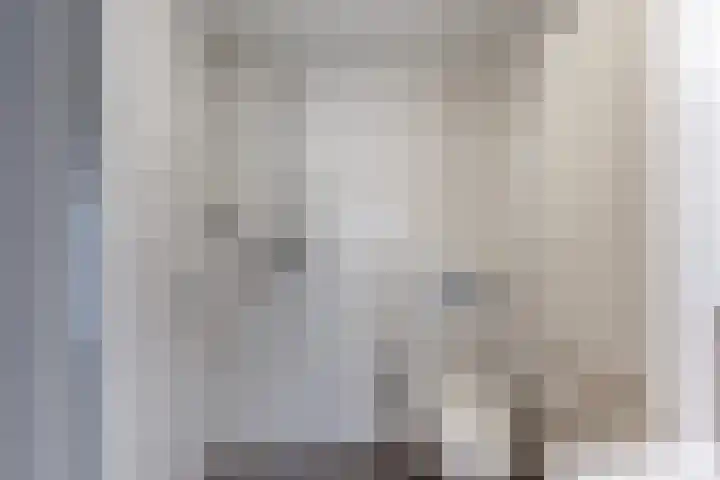 Joke Smitkade 89 Vlaardingen thumbnail 25