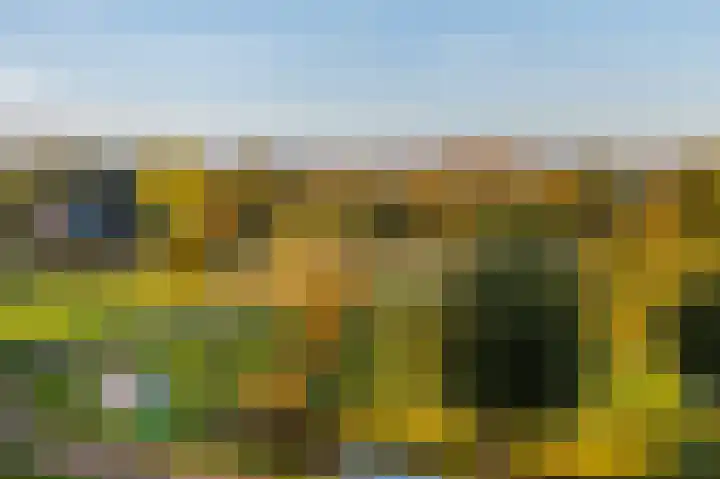 Joke Smitkade 89 Vlaardingen thumbnail 27