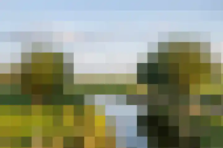 Joke Smitkade 89 Vlaardingen thumbnail 33