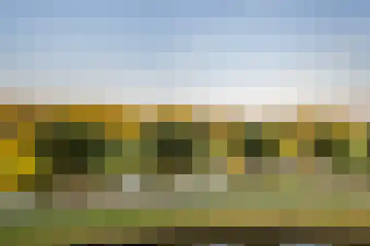 Joke Smitkade 89 Vlaardingen thumbnail 5