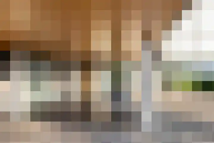 Joke Smitkade 89 Vlaardingen thumbnail 7