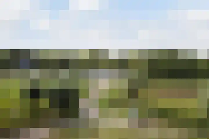 Joke Smitkade 91 Vlaardingen thumbnail 14