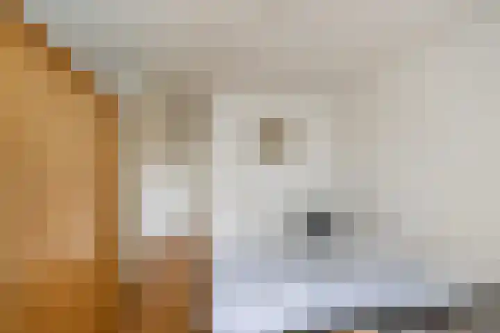 Joke Smitkade 91 Vlaardingen thumbnail 16