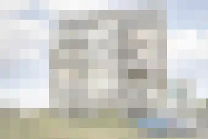 Joke Smitkade 91 Vlaardingen thumbnail 23
