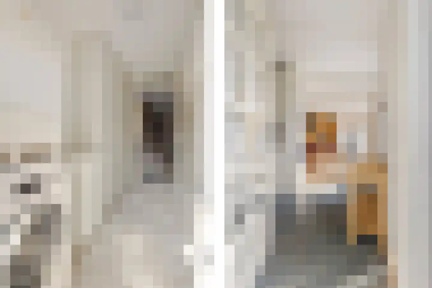 Joke Smitlaan 10 Zutphen thumbnail 14