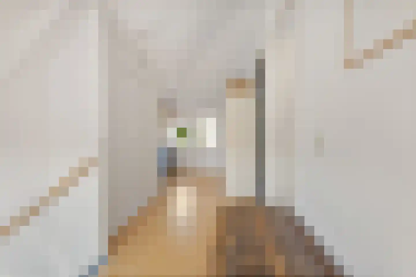 Joke Smitlaan 10 Zutphen thumbnail 31