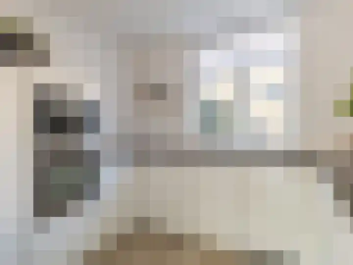 Joke Smitlaan 120 Zutphen thumbnail 10