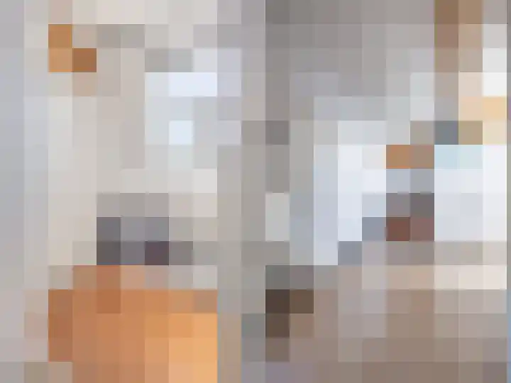 Joke Smitlaan 120 Zutphen thumbnail 19