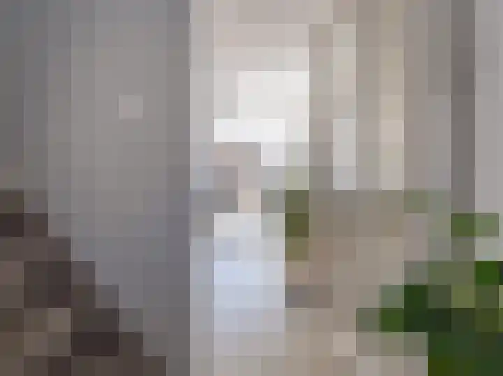 Joke Smitlaan 120 Zutphen foto 2