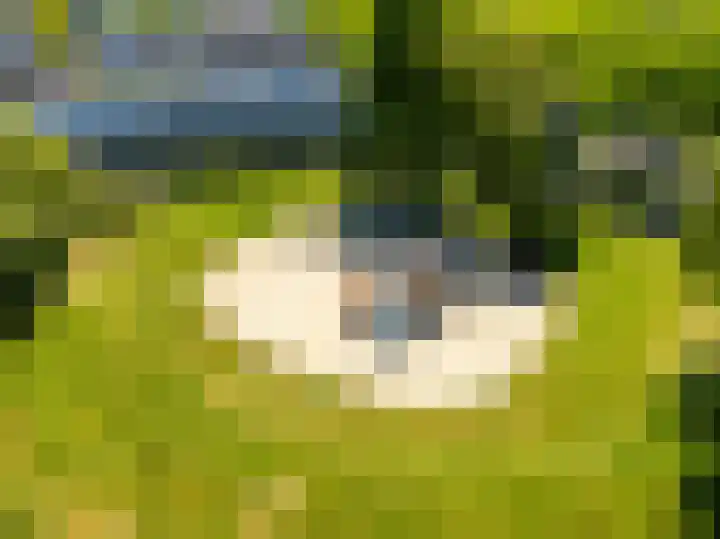 Joke Smitlaan 120 Zutphen thumbnail 30