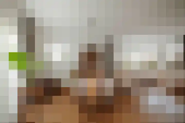 Joke Smitlaan 13 Olst thumbnail 10